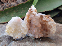 Natural Limonite Quartz Clusters x 36 From Solwezi, Zambia - Toprock Gemstones and Minerals 
