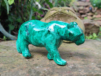 Polished Flower Banded Malachite Hippo and Leopard x 2 From Congo
