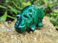 Polished Flower Banded Malachite Hippo and Leopard x 2 From Congo