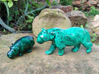 Polished Flower Banded Malachite Hippo and Leopard x 2 From Congo