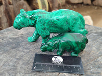 Polished Flower Banded Malachite Hippo and Leopard x 2 From Congo