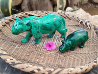 Polished Flower Banded Malachite Hippo and Leopard x 2 From Congo