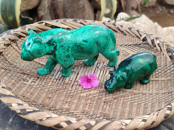 Polished Flower Banded Malachite Hippo and Leopard x 2 From Congo
