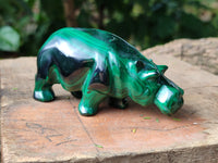 Polished Flower Banded Malachite Hippo and Leopard x 2 From Congo