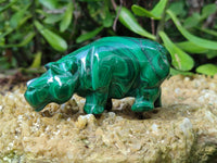 Polished Flower Banded Malachite Hippo and Leopard x 2 From Congo