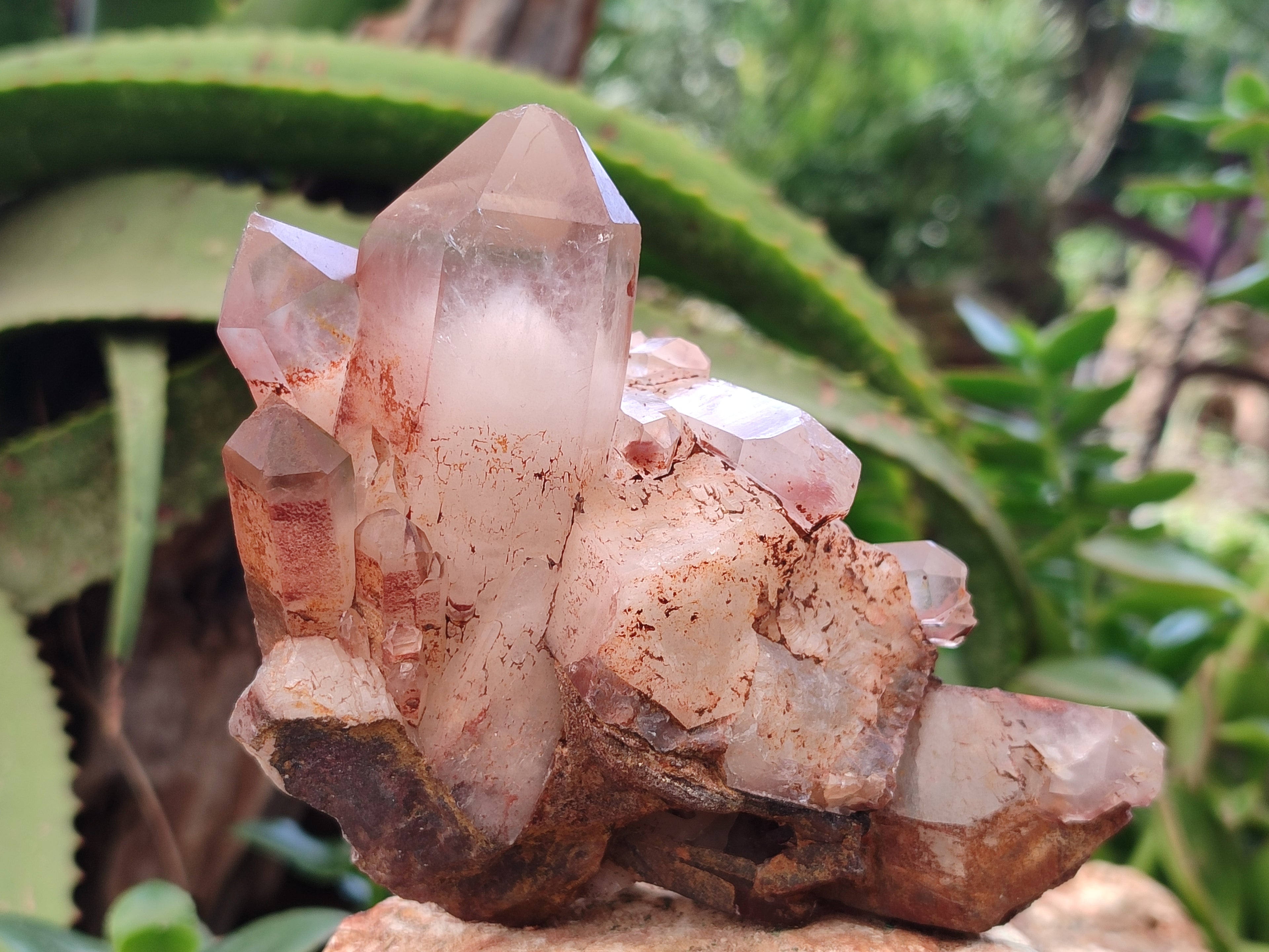 Natural Red Hematoid Quartz Clusters x 4 From Karoi, Zimbabwe - Toprock Gemstones and Minerals 