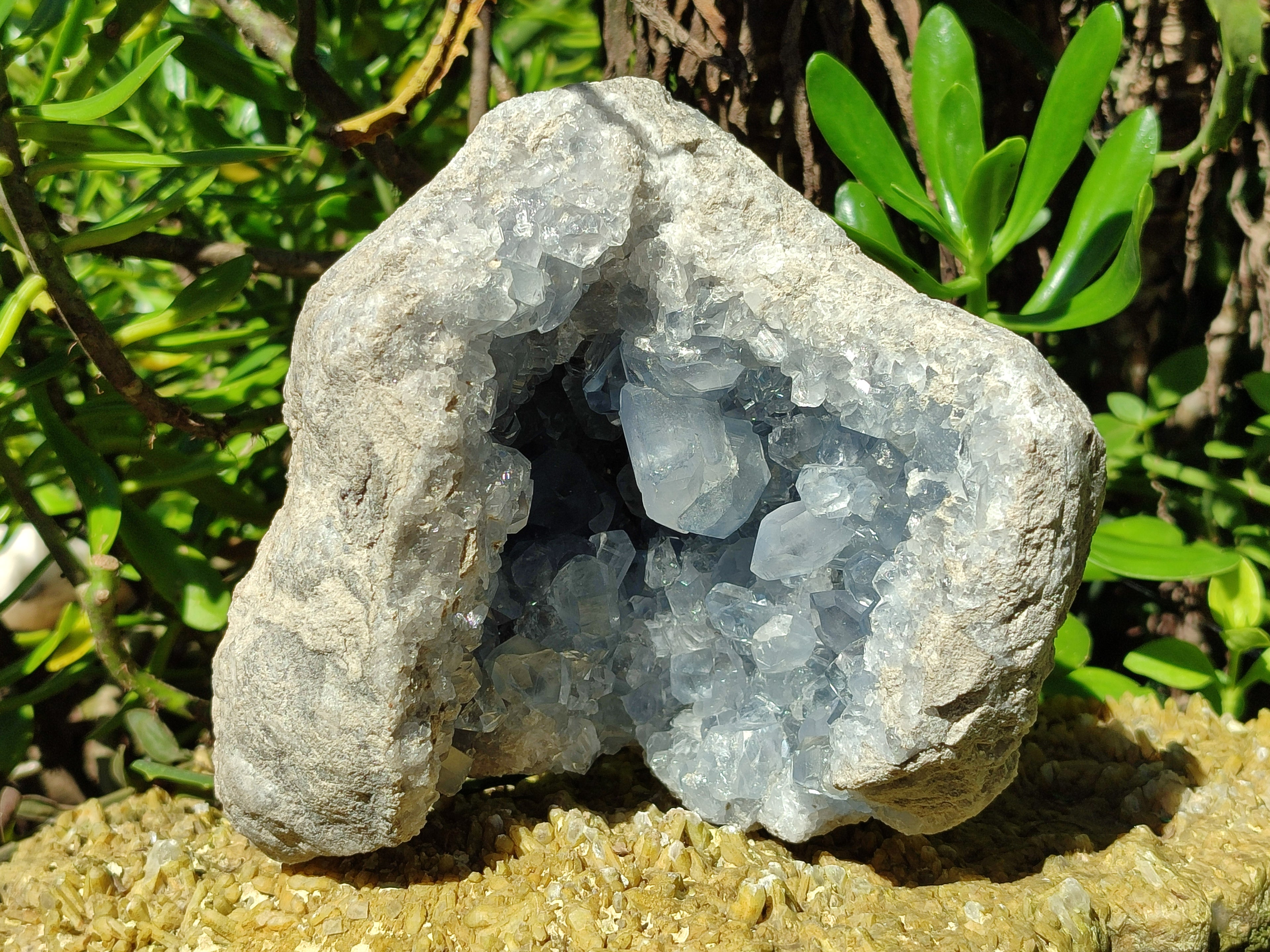 Natural Celestite Geode Specimens x From Sakoany, Madagascar - Toprock Gemstones and Minerals 