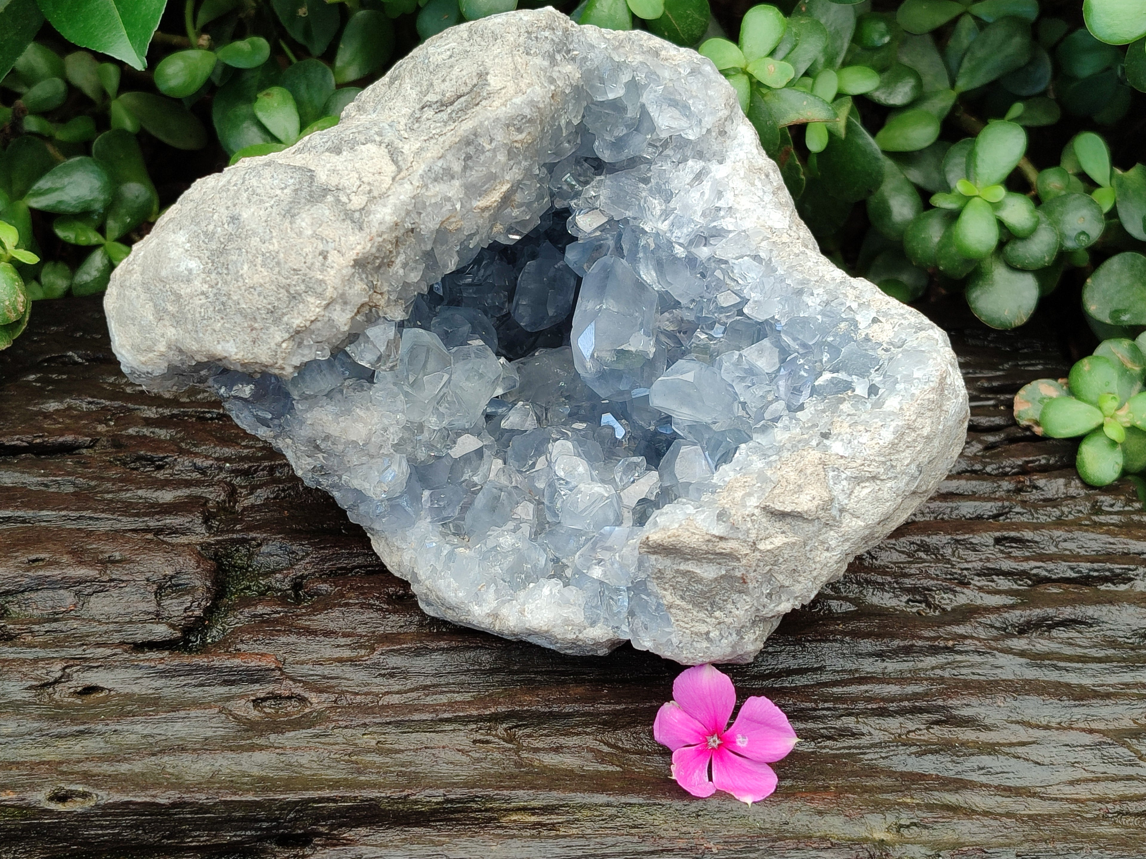Natural Celestite Geode Specimens x From Sakoany, Madagascar - Toprock Gemstones and Minerals 