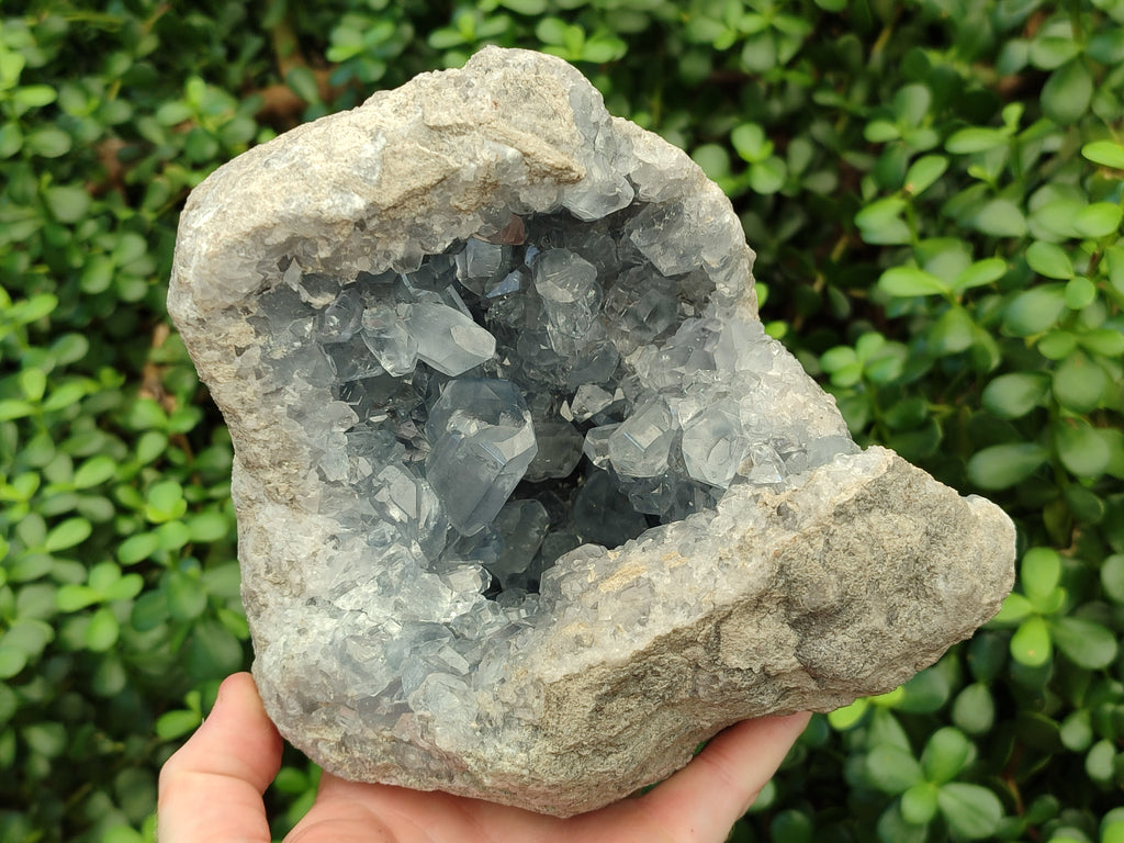 Natural Celestite Geode Specimens x From Sakoany, Madagascar - Toprock Gemstones and Minerals 