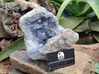 Natural Celestite Geode Specimens x From Sakoany, Madagascar