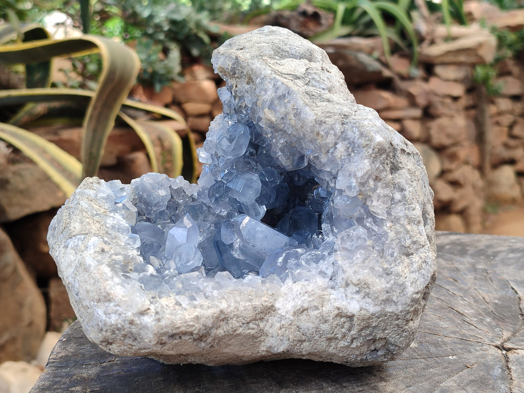 Natural Celestite Geode Specimens x From Sakoany, Madagascar - Toprock Gemstones and Minerals 