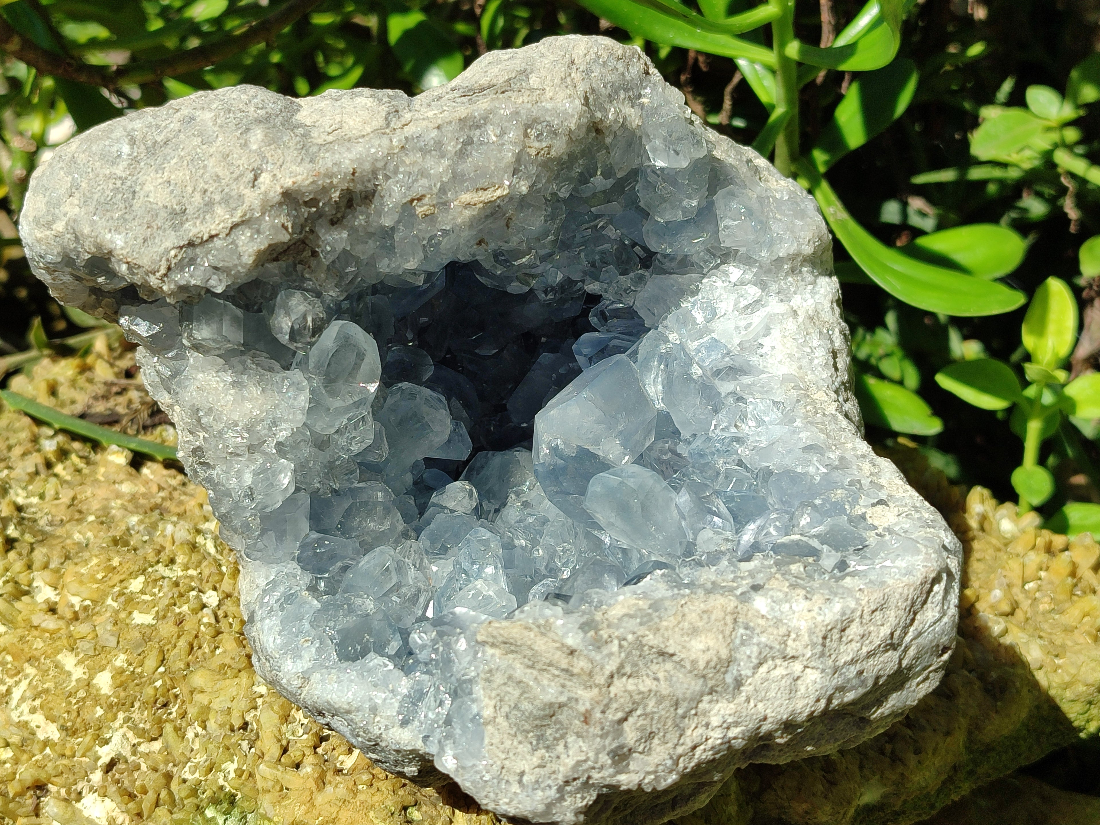 Natural Celestite Geode Specimens x From Sakoany, Madagascar - Toprock Gemstones and Minerals 