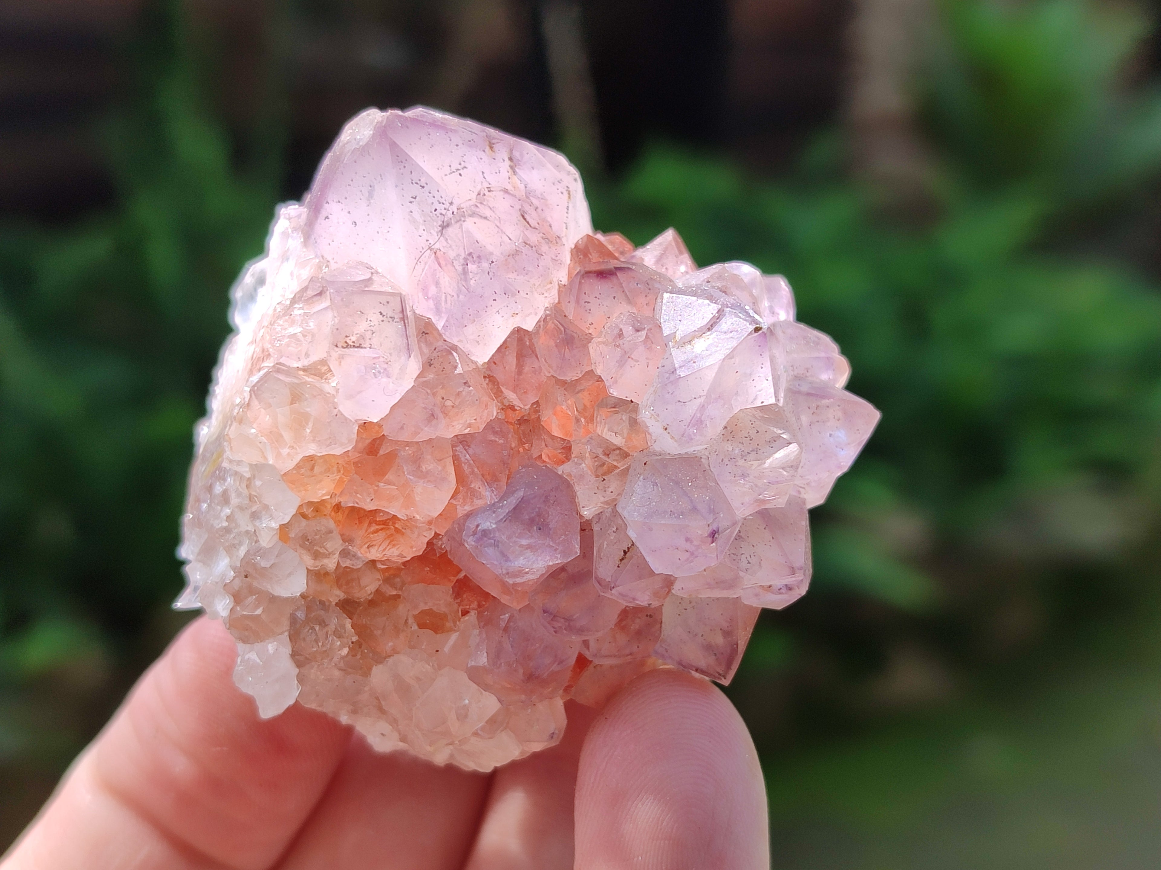 Natural Dark Ametrine Spirit Quartz Clusters x 20 From South Africa - Toprock Gemstones and Minerals 