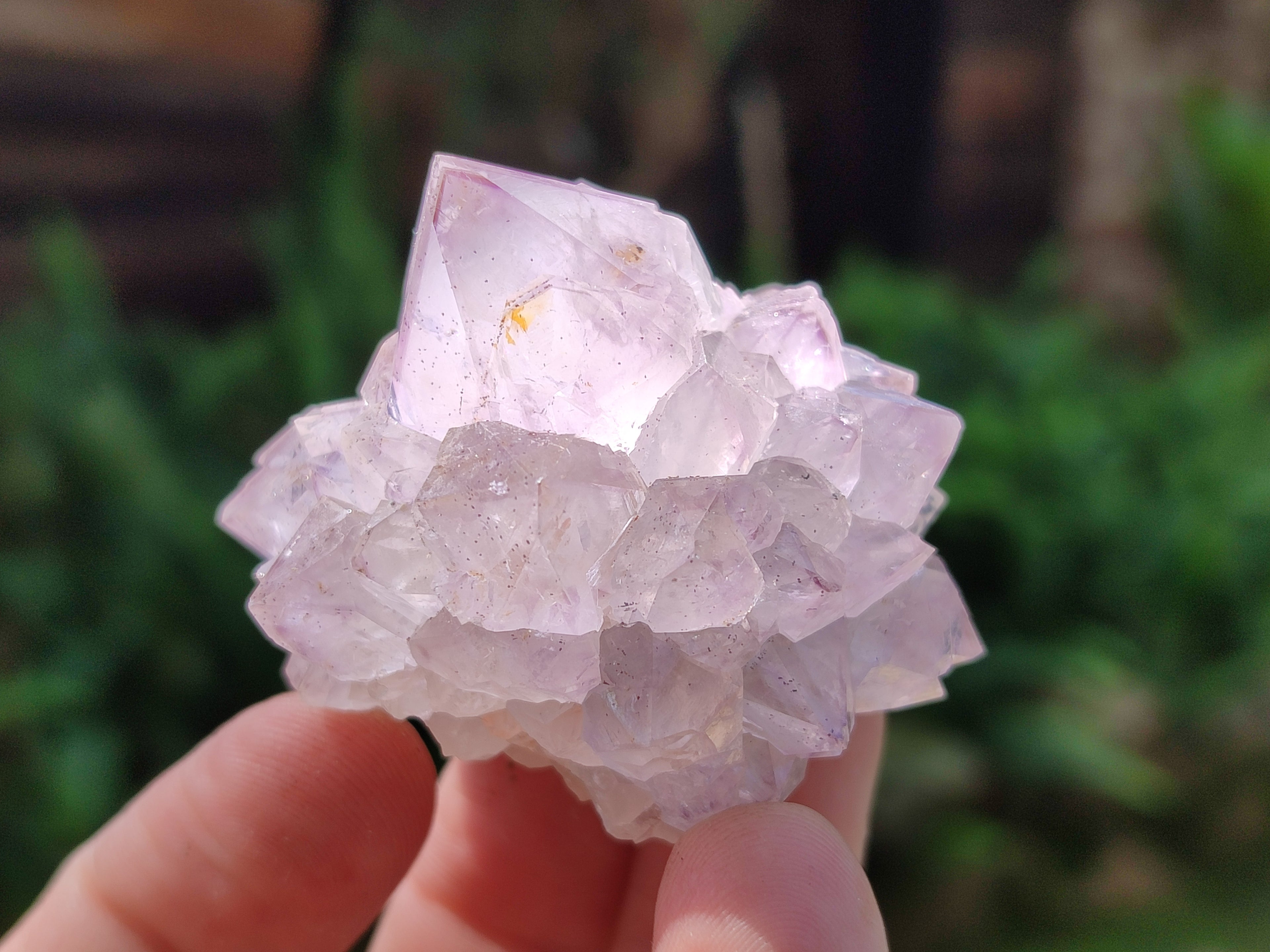 Natural Dark Ametrine Spirit Quartz Clusters x 20 From South Africa - Toprock Gemstones and Minerals 