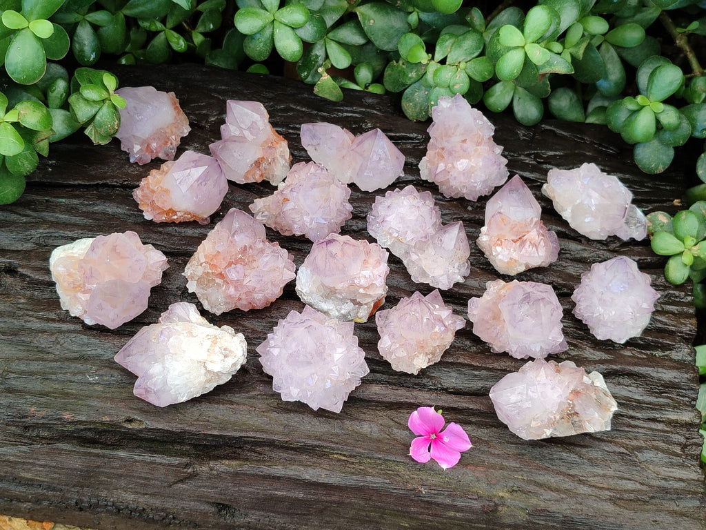 Natural Dark Ametrine Spirit Quartz Clusters x 20 From South Africa - Toprock Gemstones and Minerals 