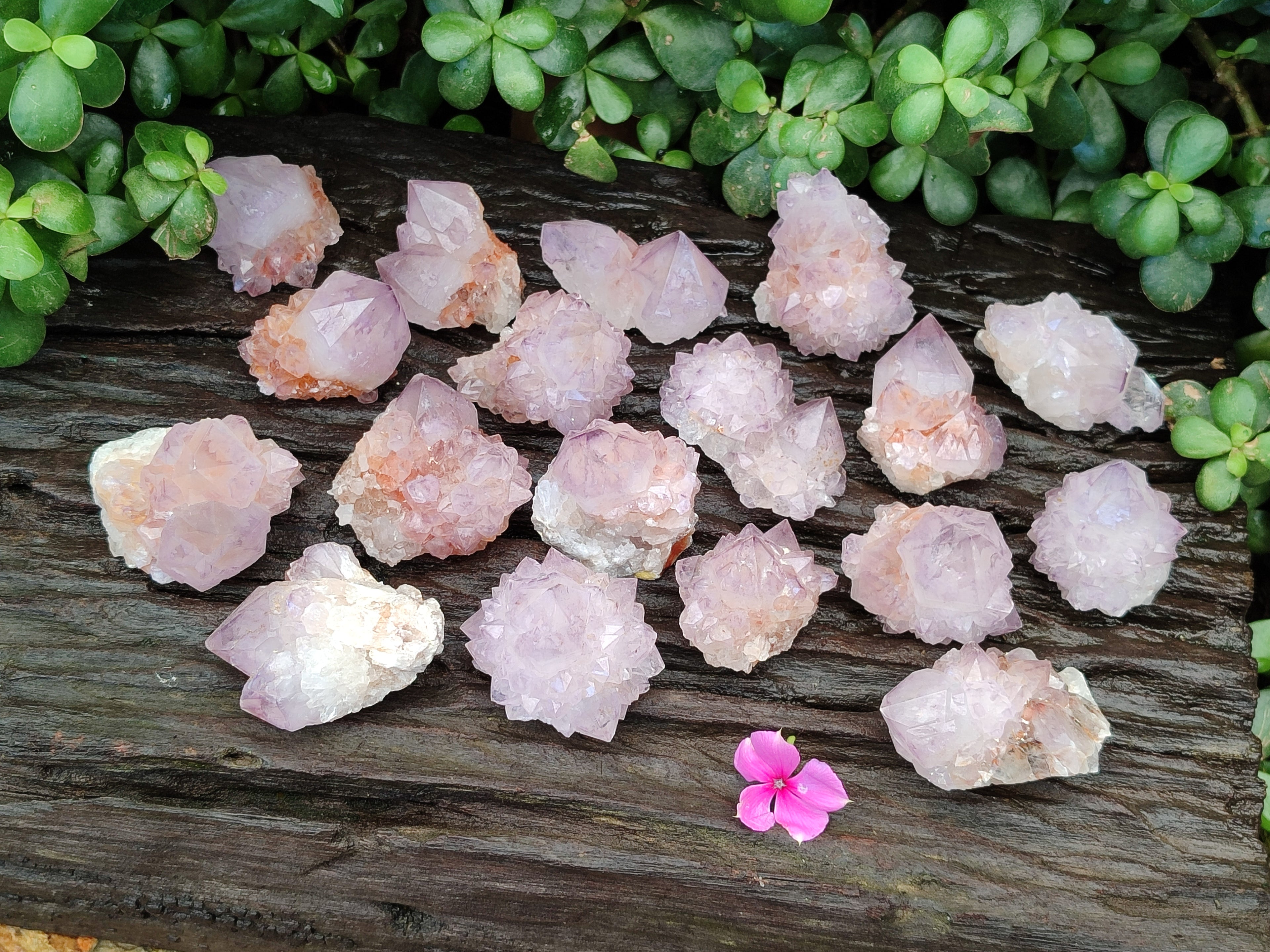 Natural Dark Ametrine Spirit Quartz Clusters x 20 From South Africa - Toprock Gemstones and Minerals 