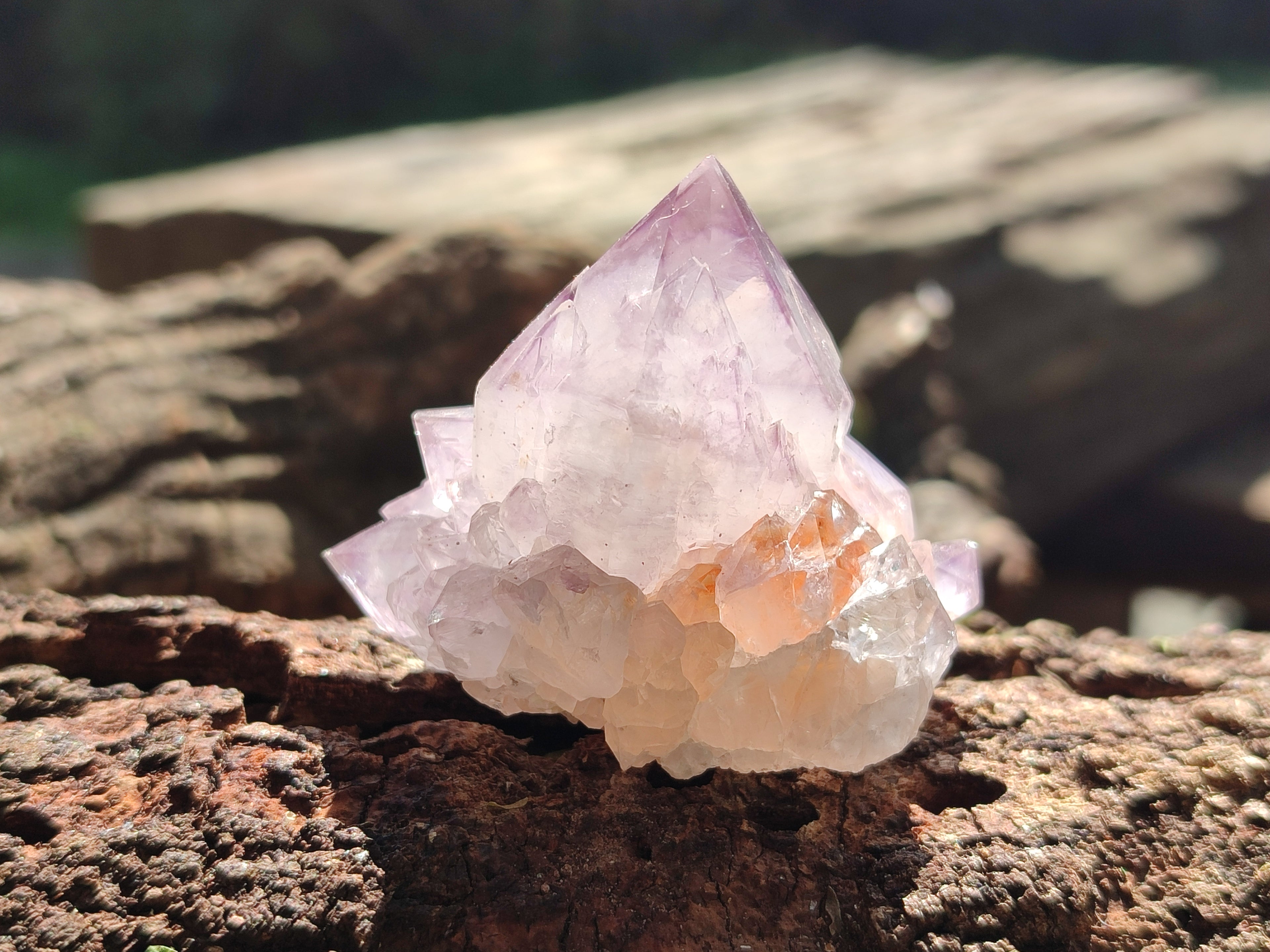 Natural Dark Ametrine Spirit Quartz Clusters x 20 From South Africa - Toprock Gemstones and Minerals 