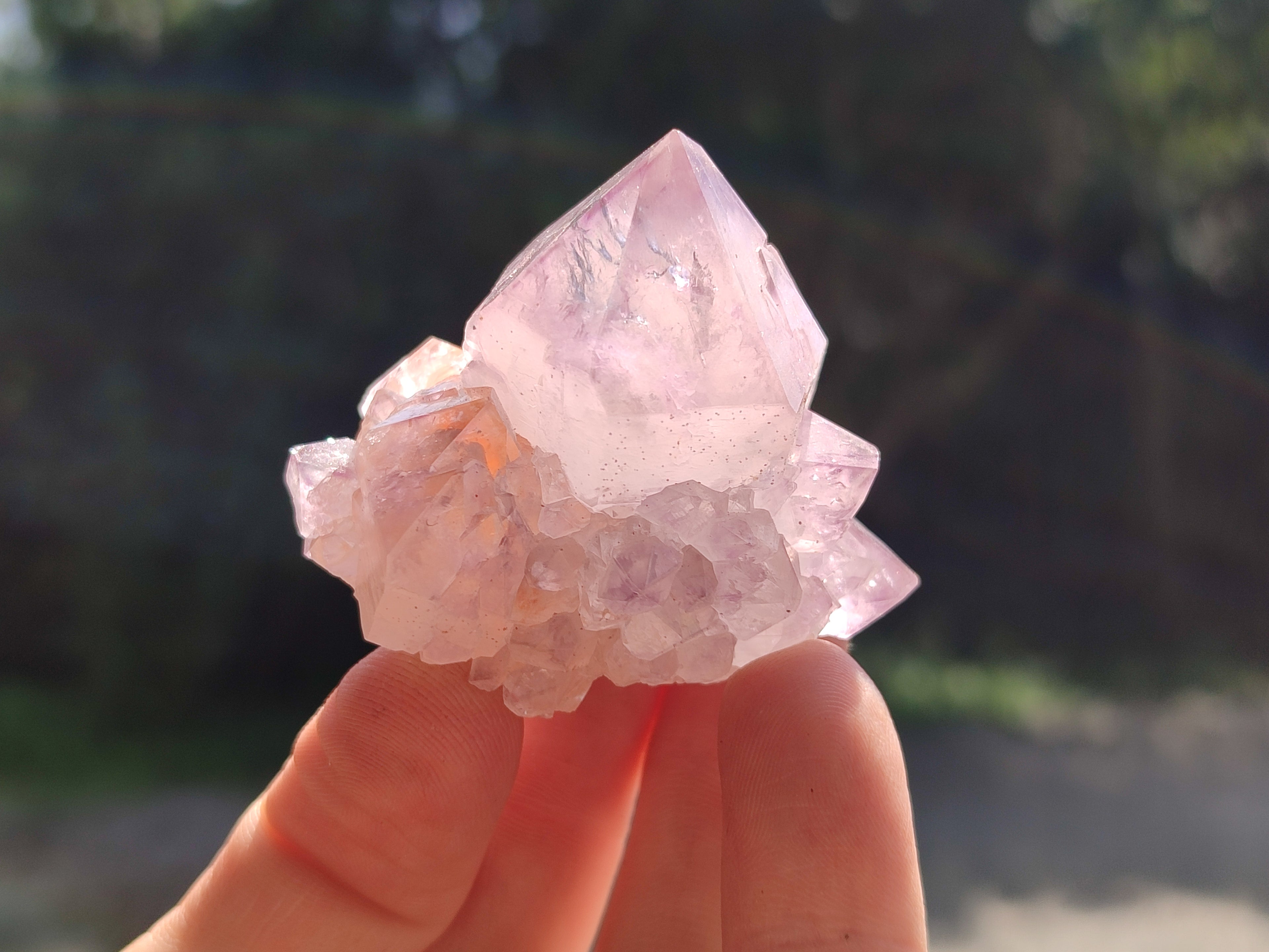 Natural Dark Ametrine Spirit Quartz Clusters x 20 From South Africa - Toprock Gemstones and Minerals 