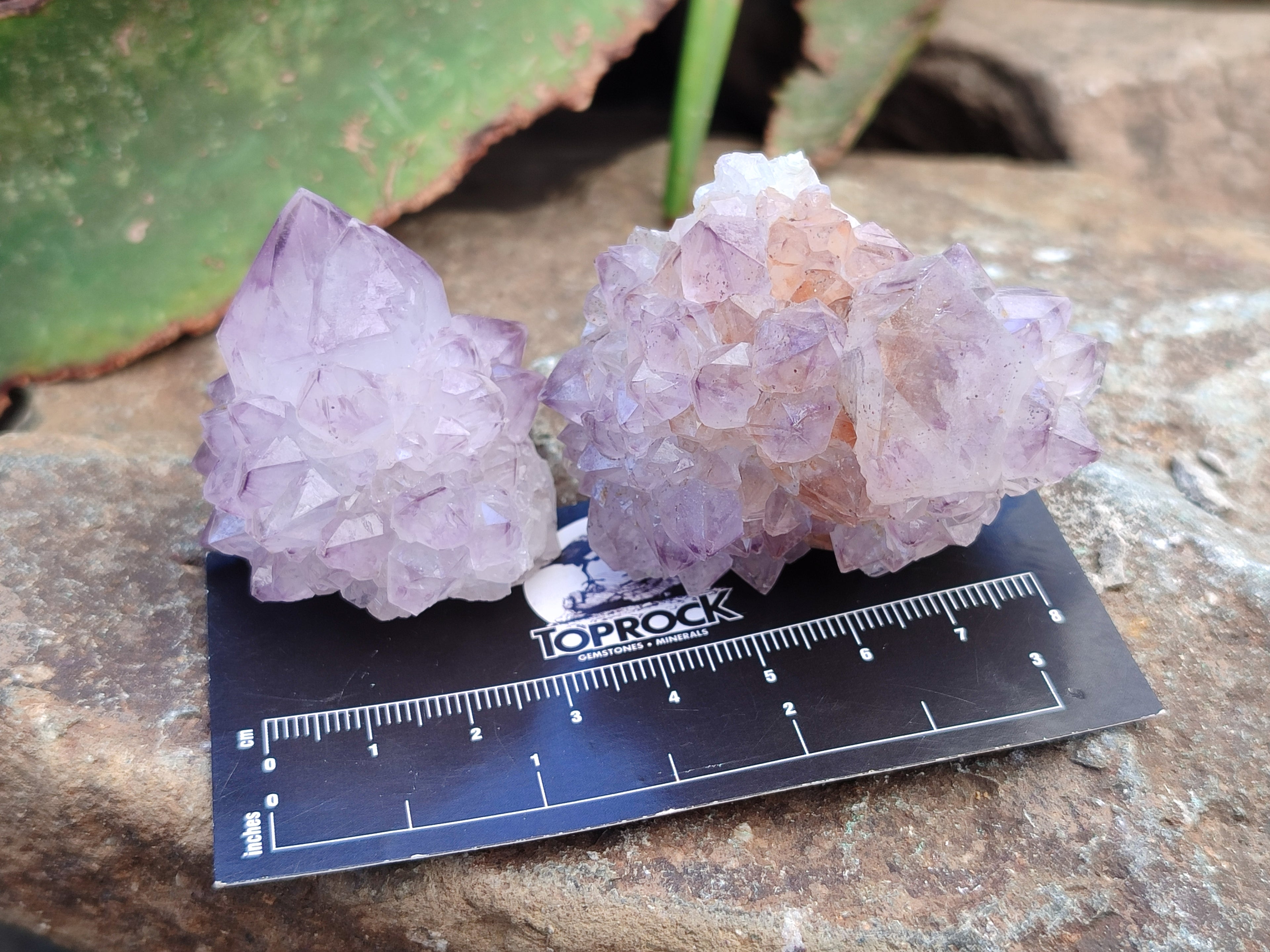 Natural Dark Ametrine Spirit Quartz Clusters x 20 From South Africa - Toprock Gemstones and Minerals 