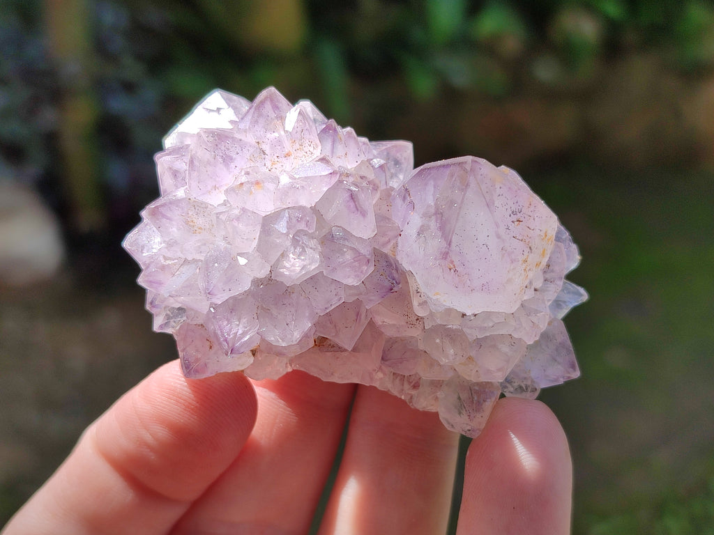 Natural Dark Ametrine Spirit Quartz Clusters x 20 From South Africa - Toprock Gemstones and Minerals 