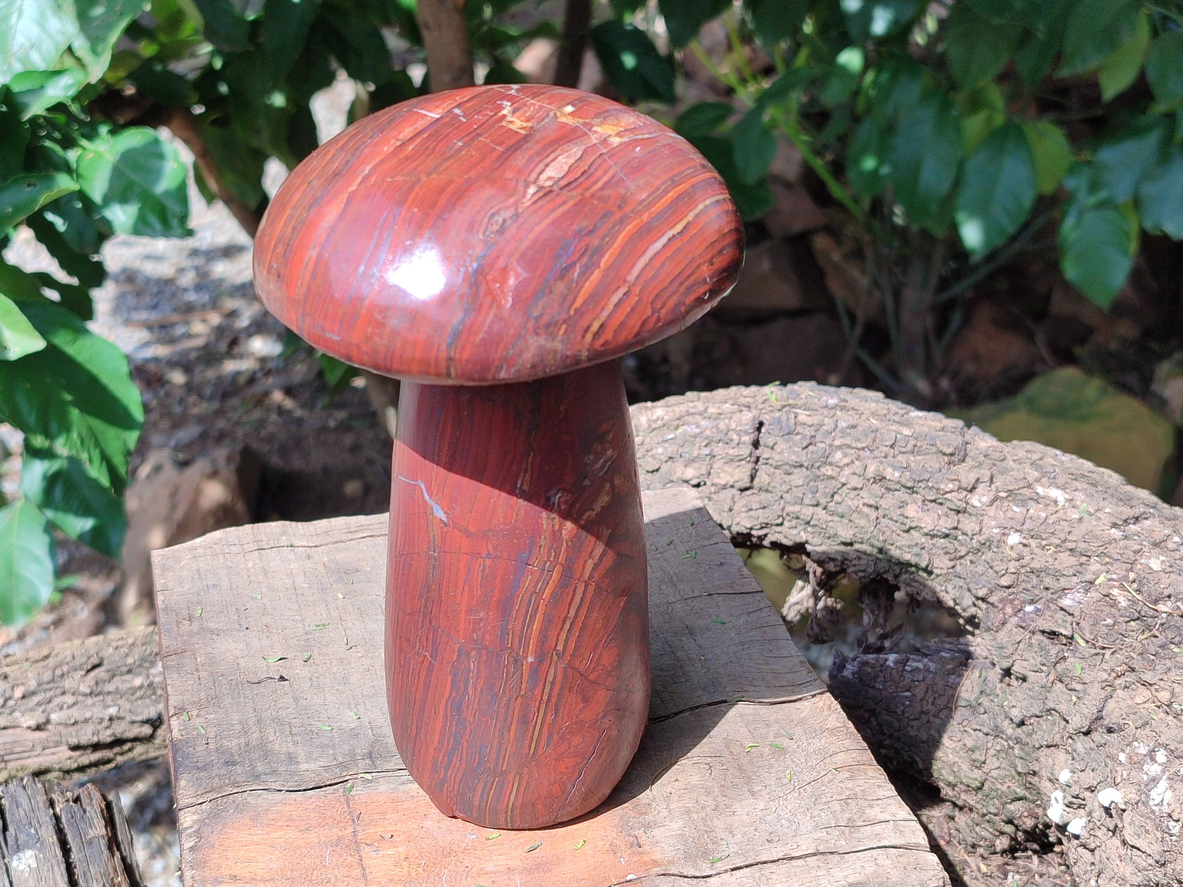 Hand Made Banded Tiger Iron Jasper Mushrooms x 2 From Northern Cape, South Africa - Toprock Gemstones and Minerals 