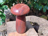 Hand Made Banded Tiger Iron Jasper Mushrooms x 2 From Northern Cape, South Africa