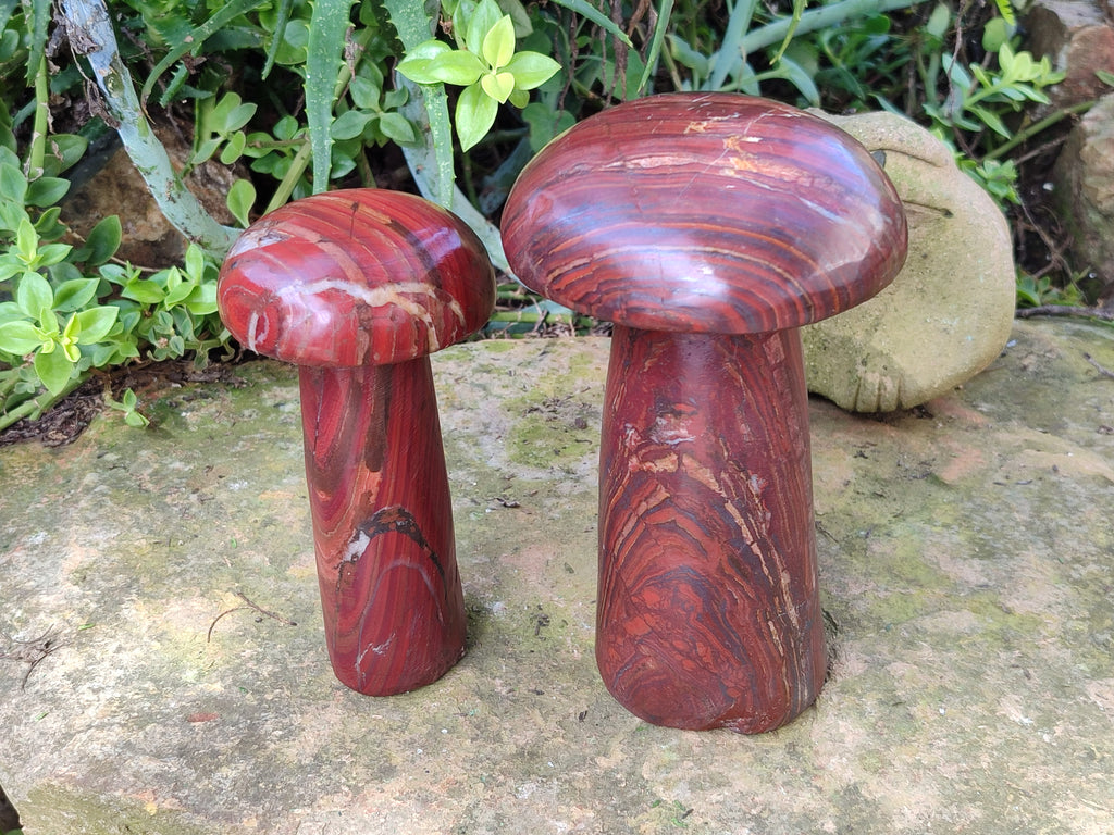 Hand Made Banded Tiger Iron Jasper Mushrooms x 2 From Northern Cape, South Africa - Toprock Gemstones and Minerals 