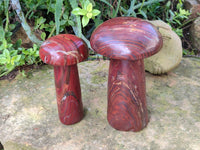 Hand Made Banded Tiger Iron Jasper Mushrooms x 2 From Northern Cape, South Africa