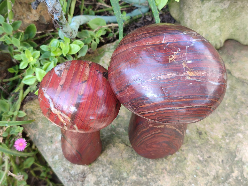 Hand Made Banded Tiger Iron Jasper Mushrooms x 2 From Northern Cape, South Africa - Toprock Gemstones and Minerals 