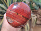Hand Made Banded Tiger Iron Jasper Mushrooms x 2 From Northern Cape, South Africa - Toprock Gemstones and Minerals 