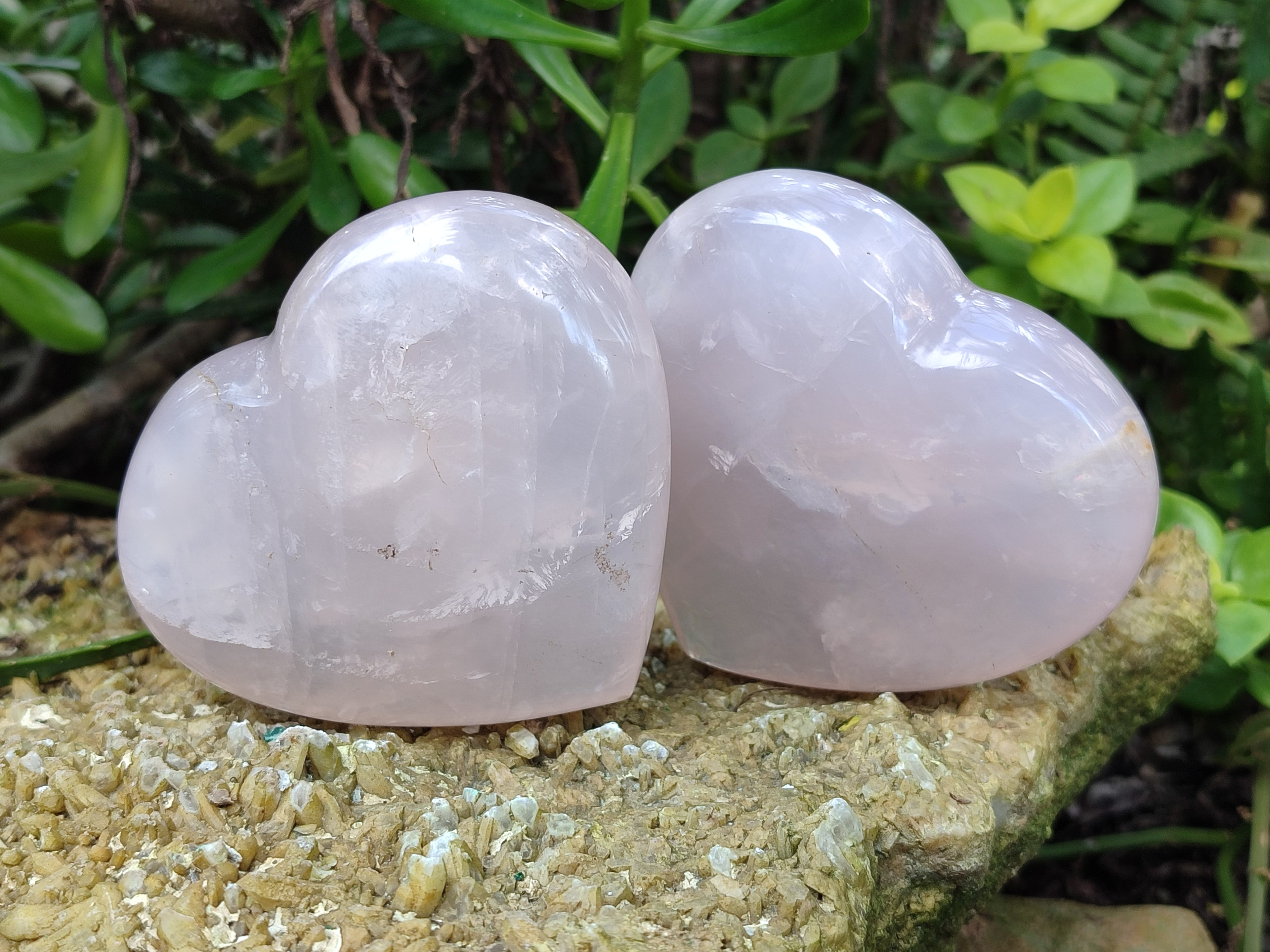 Polished Rose Quartz Girasol Hearts x 3 From Ambatondrazaka, Madagascar - Toprock Gemstones and Minerals 