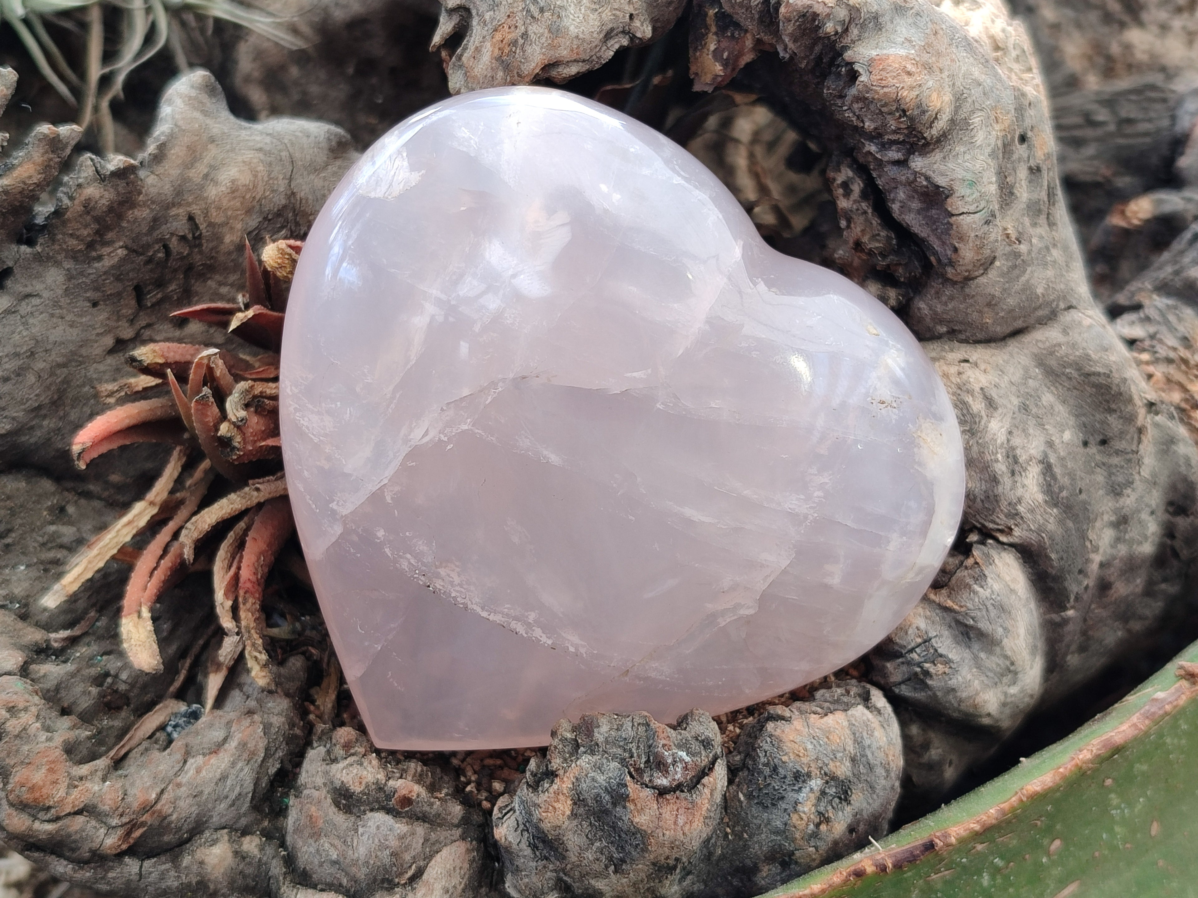 Polished Rose Quartz Girasol Hearts x 3 From Ambatondrazaka, Madagascar - Toprock Gemstones and Minerals 