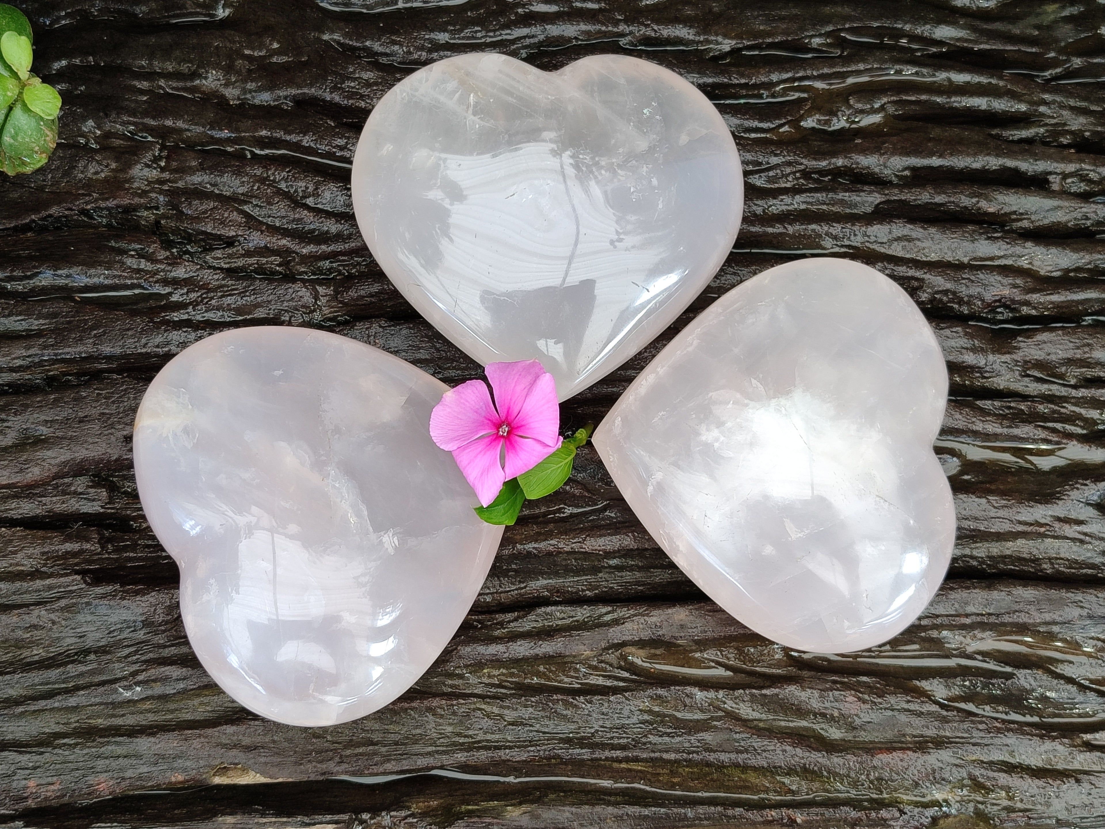 Polished Rose Quartz Girasol Hearts x 3 From Ambatondrazaka, Madagascar - Toprock Gemstones and Minerals 