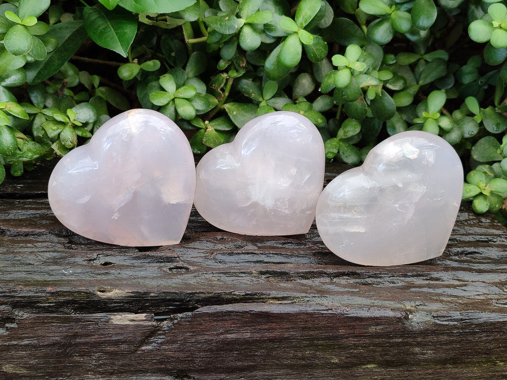 Polished Rose Quartz Girasol Hearts x 3 From Ambatondrazaka, Madagascar - Toprock Gemstones and Minerals 