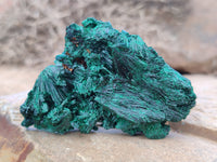 Natural Silky Malachite Specimens x 12 From Kasompe, Congo - Toprock Gemstones and Minerals 