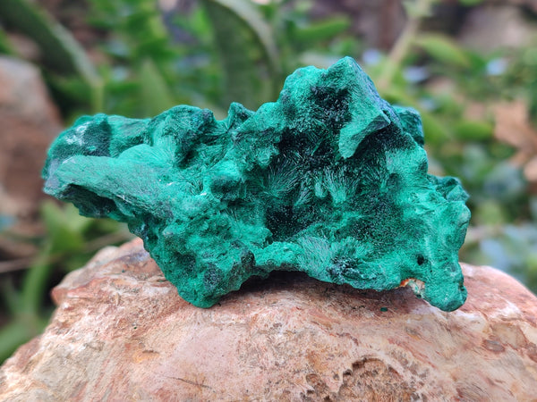 Natural Silky Malachite Specimens x 12 From Kasompe, Congo - Toprock Gemstones and Minerals 