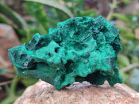 Natural Silky Malachite Specimens x 12 From Kasompe, Congo - Toprock Gemstones and Minerals 