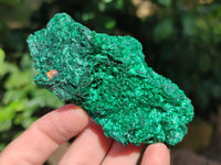 Natural Silky Malachite Specimens x 12 From Kasompe, Congo - Toprock Gemstones and Minerals 