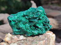 Natural Silky Malachite Specimens x 12 From Kasompe, Congo - Toprock Gemstones and Minerals 