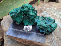 Natural Silky Malachite Specimens x 12 From Kasompe, Congo - Toprock Gemstones and Minerals 
