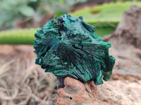 Natural Silky Malachite Specimens x 12 From Kasompe, Congo - Toprock Gemstones and Minerals 