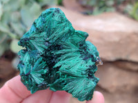Natural Silky Malachite Specimens x 12 From Kasompe, Congo - Toprock Gemstones and Minerals 