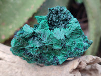 Natural Silky Malachite Specimens x 12 From Kasompe, Congo - Toprock Gemstones and Minerals 