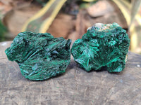 Natural Silky Malachite Specimens x 12 From Kasompe, Congo - Toprock Gemstones and Minerals 