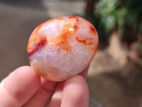 Polished Carnelian Palm Stones x 24 From Madagascar
