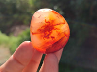 Polished Carnelian Palm Stones x 24 From Madagascar