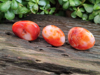 Polished Carnelian Palm Stones x 24 From Madagascar