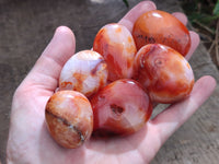 Polished Carnelian Palm Stones x 24 From Madagascar