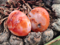 Polished Carnelian Palm Stones x 24 From Madagascar