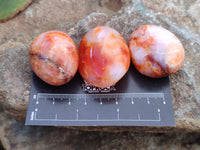 Polished Carnelian Palm Stones x 24 From Madagascar